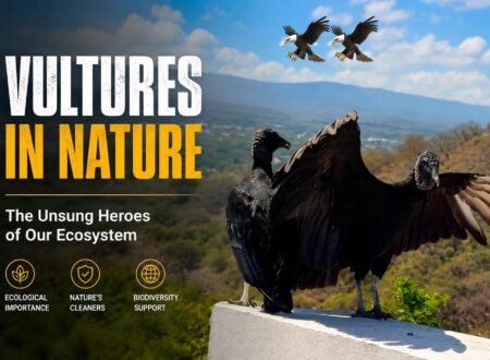 Vultures perched on a ledge with eagles flying over a mountain landscape